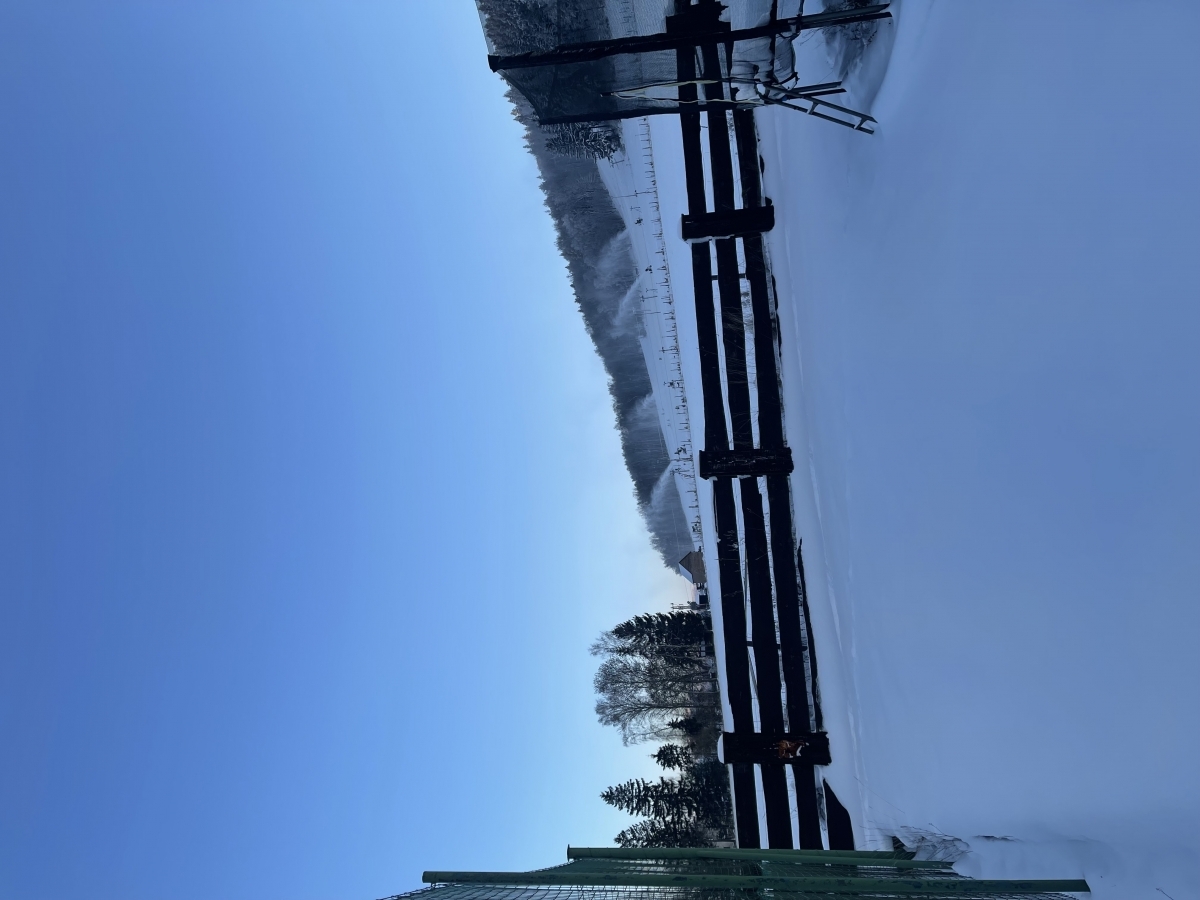 img_3055.jpeg